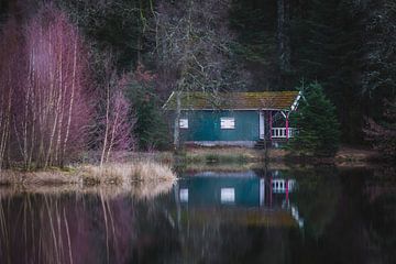 Reflectie van turquoise houten huisje met paarse struik aan het water 1 | Vogezen, Frankrijk van Merlijn Arina Photography