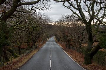 The road ahead is empty von Jasper Los