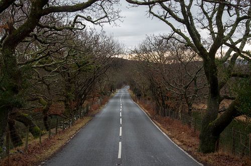 The road ahead is empty