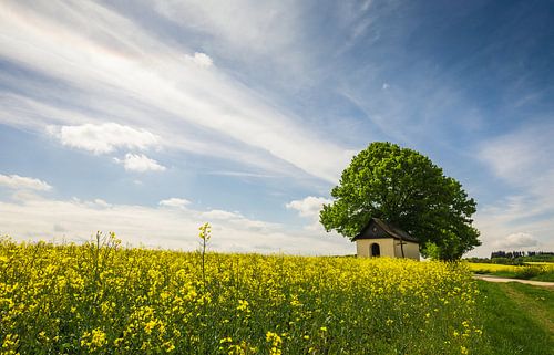 German landscape