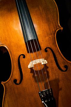 Cello I van Michael Krawietz