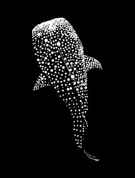 Walvis Haai Stip Art Ontwerp van Ramy Salah Hefny