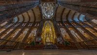Santiago de Compostela, fish eye view of the cathedral