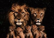 Leeuwen familie met 5 welpjes van Bert Hooijer thumbnail