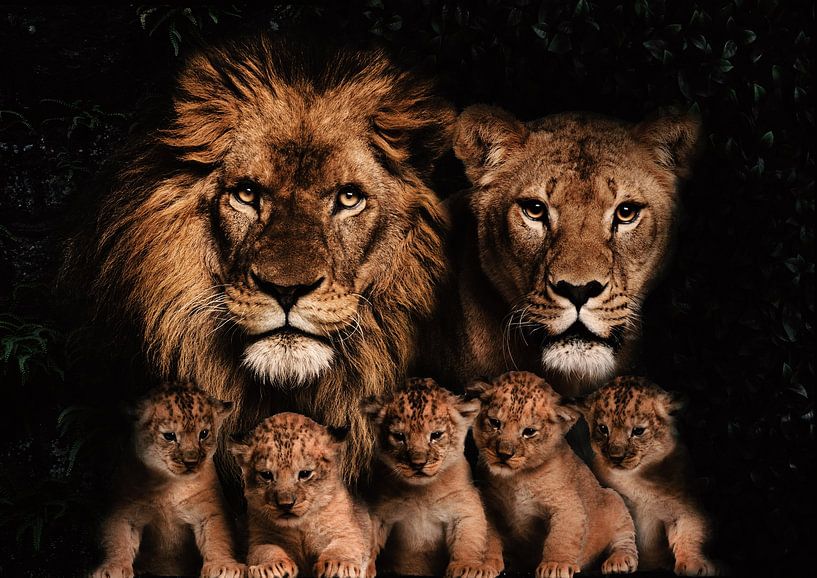 Famille de lions avec 5 petits par Bert Hooijer