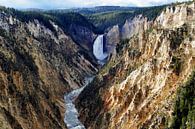 Yellowstone National Park van Walljar thumbnail