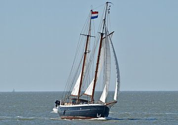 Het zeilschip de Norn onder zeil van Piet Kooistra