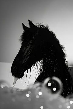 Edel paard in de badkuip - een magische badkamerfoto voor je WC van Poster Art Shop