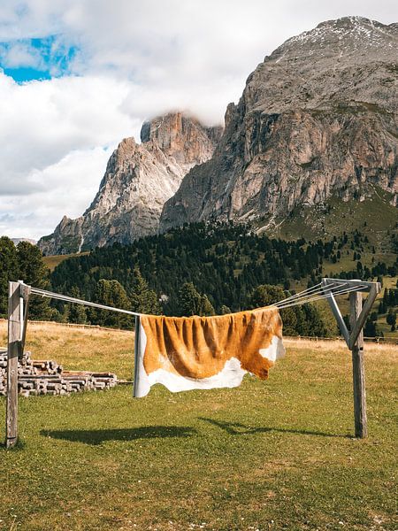 Kuhfell an der Wäscheleine in den Dolomiten, Italien von Michiel Dros