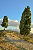 Wanderung durch die Toskana