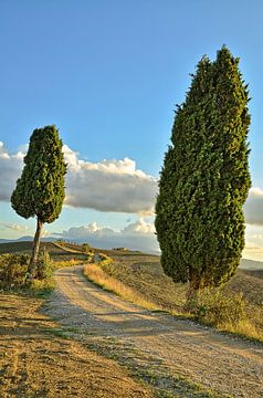 Hike through Tuscany