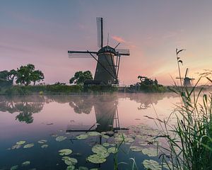 Reflectie van een molen van Kinderdijk van Nick de Jonge - Skeyes