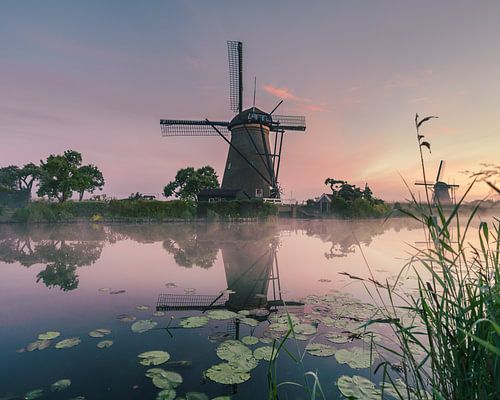 Reflectie van een molen van Kinderdijk