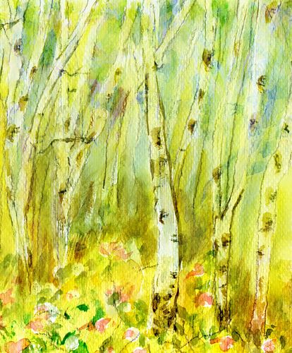 licht bos