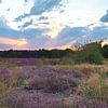 Heide met zonsondergang in limburg van Jolanda de Jong-Jansen