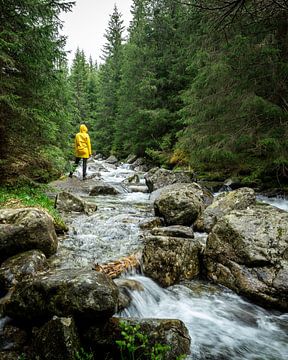 Gele regenjas in de bossen van Slowakije