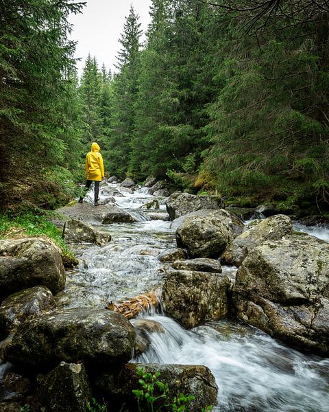 Yellow raincoat in the forests of Slovakia by OCEANVOLTA