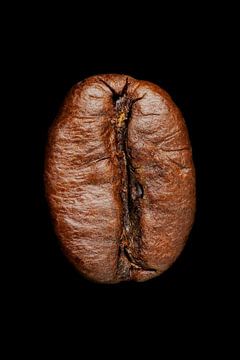 Kaffeebohne auf schwarzem Hintergrund. von Patrick van Os