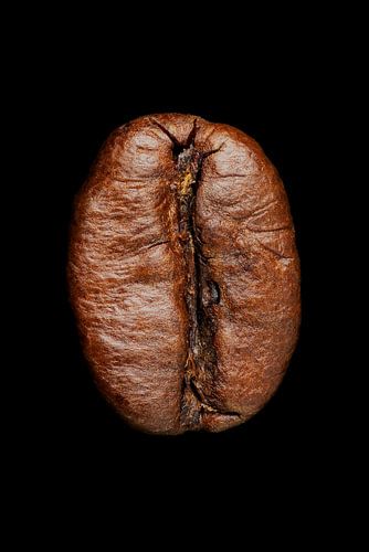 Coffee bean on black background.