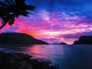 RÊVE TROPICAL