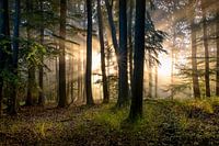 Momente der Freude