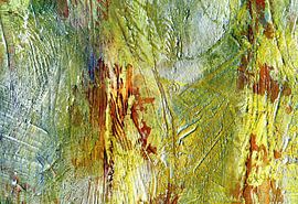 rau und rissig von Claudia Gründler