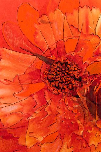 Média mixte avec différentes fleurs en orange.