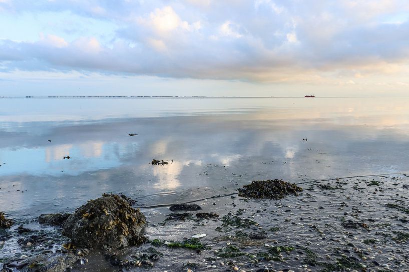 Ameland Wattenmeer von Johanna Oud