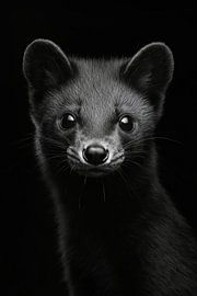 Marder. von Poster Art Shop