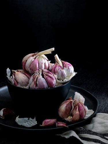 Still life, Garlic (Allium sativum) "Dark with touch of pink" by Oda Slofstra