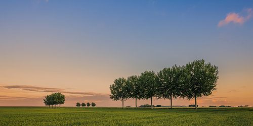 Zomeravond in de Johannes Kerkhovenpolder