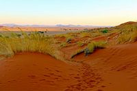 Le coucher de soleil dans la Sossusvlei