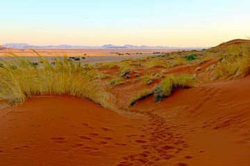 The sunset in the Sossusvlei by Daphne de Vries