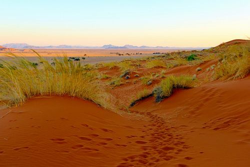 Le coucher de soleil dans la Sossusvlei