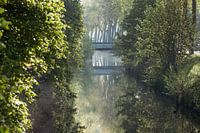 Light In Nature