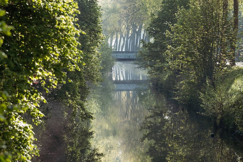 La lumière dans la nature par Nadia Feys