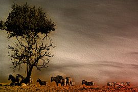 Afrikanischer Abend von Steve Brien