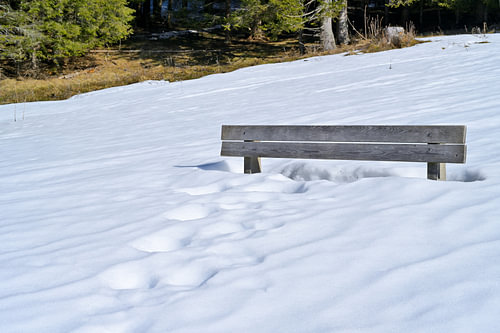 Wooden bench buried in the snow