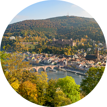 Heidelberg aan de rivier de Neckar tijdens een mooie herfstdag van Sjoerd van der Wal Fotografie