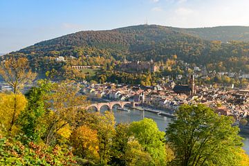 Heidelberg aan de rivier de Neckar tijdens een mooie herfstdag van Sjoerd van der Wal