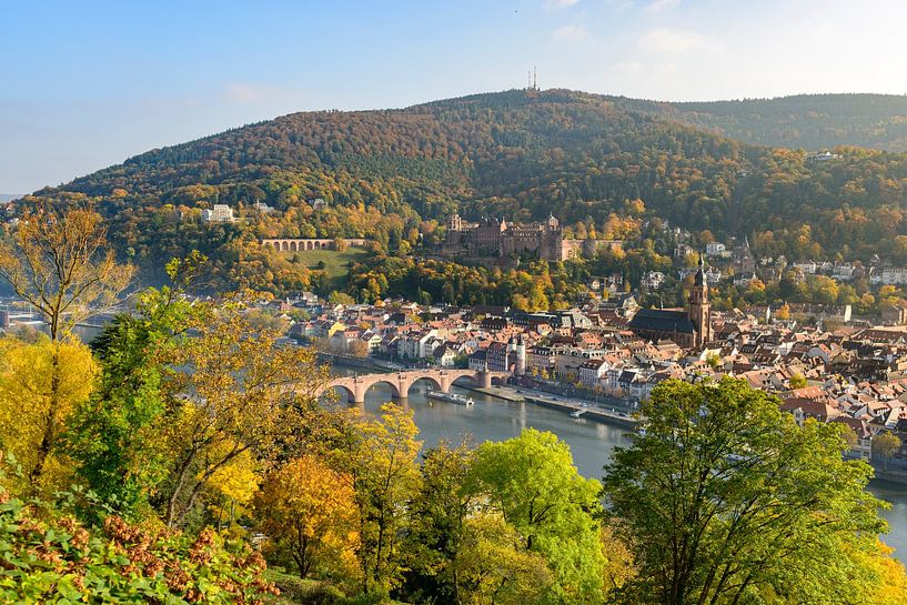 Heidelberg aan de rivier de Neckar tijdens een mooie herfstdag van Sjoerd van der Wal Fotografie