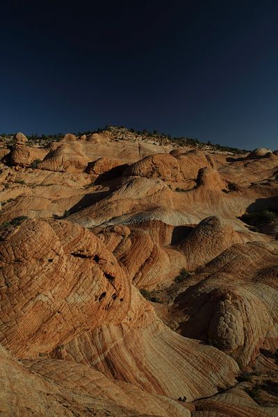 Yant Flat - Candy Cliffs - Cottonwood Forest Wilderness Utah USA van Frank Fichtmüller