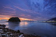 coast of Santos by Sonny Vermeer thumbnail