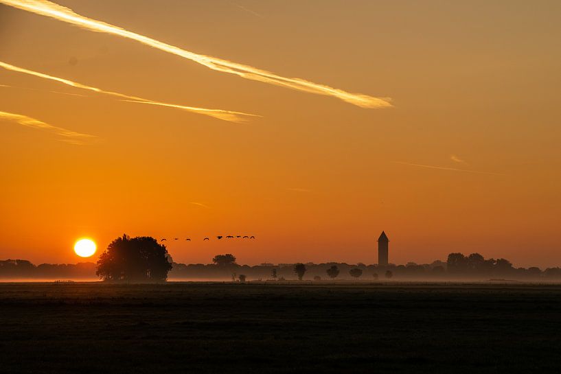Zonsopkomst met dauw in Alblasserwaardse polder by Brigitte Alphenaar