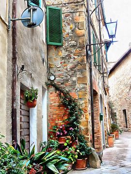 Making Good Use Of Space in Pienza Tuscany