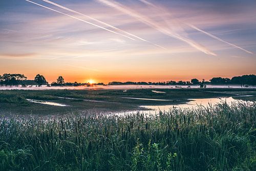 Lever de soleil dans la réserve naturelle Bourgoyen-Ossemeersen Gand
