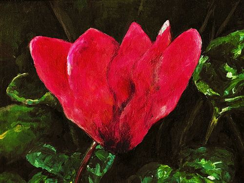 Rosa rotes Alpenveilchen von Ineke de Rijk