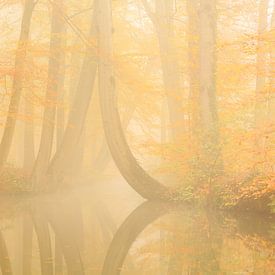Twickelervaart in autumn mood  by Ronald Kamphuis