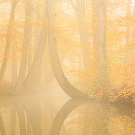 Twickelervaart in Herbststimmung  von Ronald Kamphuis