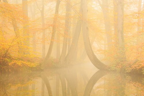 Twickelervaart en automne  sur Ronald Kamphuis